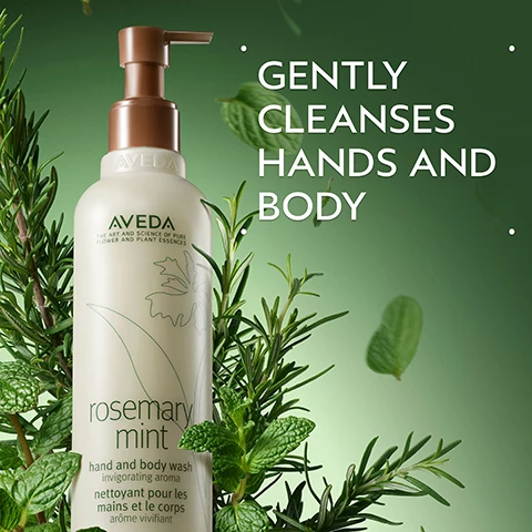 Image 2 - A bottle of Aveda Rosemary Mint Hand and Body Wash with a brown pump is surrounded by rosemary and mint sprigs against a green background, with text that reads Gently Cleanses Hands and Body, Aveda The Art and Science of Pure Flower and Plant Essences, rosemary mint hand and body wash invigorating aroma nettoyant pour les mains et le corps arôme vivifiant. Image 3 - A sprig of fresh rosemary and mint is displayed against a light green circular background, with the surrounding dark green background featuring the text Rosemary & Mint and Invigorating aroma proven to awaken the senses and improve focus. Image 4 - Three pearlescent pale yellow cream dollops, one large with a swirl design and two smaller ones, are artfully placed on a white surface bordered in dark green. Image 5 - Two white Aveda Rosemary Mint product bottles with brown caps, one a pump for hand and body wash and one a regular bottle for body lotion, are shown on a dark green background alongside usage instructions that read: HOW TO USE, followed by text on the left bottle AVEDA THE ART AND SCIENCE OF PURE FLOWER AND PLANT ESSENCES rosemary mint hand and body wash invigorating aroma nettoyant pour les mains et le corps arôme vivifiant, text on the right bottle AVEDA THE ART AND SCIENCE OF PURE FLOWER AND PLANT ESSENCES rosemary mint body lotion invigorating aroma lotion pour le corps arôme vivifiant, and steps 01 CLEANSE Rosemary Mint Hand and Body Wash, 02 MOISTURIZE Rosemary Mint Body Lotion. Image 6 - Four light green Aveda Rosemary Mint product bottles with brown caps are arranged amongst fresh rosemary and mint sprigs on a green background, all bottles display AVEDA THE ART AND SCIENCE OF PURE FLOWER AND PLANT ESSENCES, rosemary mint, and invigorating aroma, with specific product types from left to right: purifying shampoo shampooing purifiant; weightless conditioner après-shampooing ultra-léger; hand and body wash nettoyant pour les mains et le corps; and body lotion lotion pour le corps. Image 7 - A dark green leafy background with a red plant accent displays three white logos: the 100% Vegan logo featuring a large V and circular 100% Vegan text, the Certified B Corporation logo with a B inside a circle, and the Cruelty Free International logo showing a leaping bunny with stars.