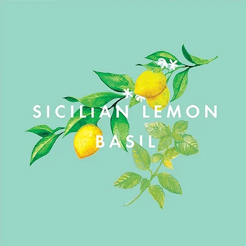 An illustration of a lemon branch with yellow lemons, green leaves, and small white flowers against a light green background, featuring the text SICILIAN LEMON BASIL.