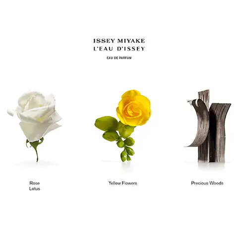 Image 1, rose lotus, yellow flowers and precious woods. Image 2, ISSEY MIYAKE L'EAU D'ISSEY EAU DE TOILETTE EAU DE TOILETTE INTENSE EAU DE PARFUM EAU DE PARFUM INTENSE EAU&MAGNOLIA ROSE&ROSE + Intensity FLORAL & ELEGANT PETALLY & LUMINOUS LUMINOUS & REFINED GENEROUS & FRUITY