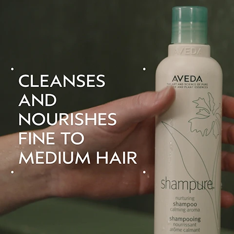 Image 2 - Close-up of a hand holding a white Aveda shampure shampoo bottle with a teal cap, green floral design, and visible water droplets, against a dark green background, with text overlaid on the background that reads CLEANSES AND NOURISHES FINE TO MEDIUM HAIR, and text on the bottle that reads AVEDA THE ART AND SCIENCE OF PURE FLOWER AND PLANT ESSENCES, shampure nurturing shampoo calming aroma, shampooing nourrissant arôme calmant. Image 3 - Before and after image of a woman with shoulder-length reddish-brown hair; on the left, her hair is straight, labeled BEFORE Unwashed Hair, and on the right, her hair is wavy and styled, labeled AFTER Results with Shampure Nurturing Shampoo and Conditioner, Smooth Infusion Style-Prep Smoother, Control Paste and Control Force. Blow dried hair. Image 4 - An arrangement of purple lavender, white orange blossoms, and yellow ylang-ylang flowers on a light teal circle against a dark green background, with text that reads Power Your Peace and A calming aroma with a blend of 25 pure flower and plant essences including Lavender, Petitgrain, and Ylang Ylang. Image 5 - A dark green graphic titled HOW TO USE illustrates four hair care steps: 01 CLEANSE, showing a person washing their hair, with the text ShampureTM Nurturing Shampoo; 02 CONDITION, showing conditioner being dispensed into a hand, with the text ShampureTM Nurturing Conditioner; 03 PREP, showing a hand holding a grey spray bottle, with the text Smooth Infusion Style-PrepTM Smoother; and 04 STYLE, showing a hand holding a grey hairspray can, with the text Control Paste and Control Force. Image 6 - A white creamy texture with small bubbles is smeared across a light grey background, with an additional small circular blob of foam positioned above it. Image 7 - A background of dark green leaves features three white logos: a circular 100% Vegan logo with a V, a Certified B Corporation logo with a B inside a circle, and a Cruelty Free International logo with a leaping bunny.