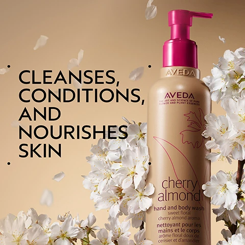 Image 2 - A beige Aveda hand and body wash bottle with a pink pump is prominently displayed, surrounded by white cherry blossoms and scattered petals against a warm beige background, accompanied by text reading CLEANSES, CONDITIONS, AND NOURISHES SKIN, and on the bottle AVEDA THE ART AND SCIENCE OF PURE FLOWER AND PLANT ESSENCES cherry almond hand and body wash sweet floral cherry almond aroma nettoyant pour les mains et le corps arôme floral doux de cerisier et damandier. Image 3 - The image shows oranges with green leaves and white blossoms alongside several dark brown date-like fruits on a light background, surrounded by a dark green border, with the text Uplift Your Mood and A sweet floral aroma with tonka bean, orange, and ylang-ylang. Image 4 - The image displays three Aveda Cherry Almond bath and body products – a body scrub tube, a hand and body wash pump bottle, and a body lotion bottle – arranged on a brown surface with white flowers in the background, accompanied by the text How To Use, which includes 01 EXFOLIATE cherry almond body scrub, 02 CLEANSE cherry almond hand and body wash, and 03 MOISTURIZE cherry almond body lotion; the individual products are also labeled Aveda The Art and Science of Pure Flower and Plant Essences cherry almond body scrub sweet floral cherry almond aroma gommage exfoliant corporel arôme floral doux de cerisier et d’amandier, Aveda The Art and Science of Pure Flower and Plant Essences cherry almond hand and body wash sweet floral cherry almond aroma nettoyant pour mains et le corps arôme floral doux de cerisier et d’amandier, and Aveda The Art and Science of Pure Flower and Plant Essences cherry almond body lotion sweet floral cherry almond aroma lotion pour le corps arôme floral doux de cerisier et d’amandier. Image 5 - Three round, pale pink cosmetic product swatches of different sizes are arranged on a white background, enclosed within a dark green border. Image 6 - A dark green leafy background with a hint of red plant on the left features three white logos: a circular 100% VEGAN V 100% VEGAN logo, a Certified B Corporation logo, and a Cruelty Free INTERNATIONAL logo with a stylized rabbit.