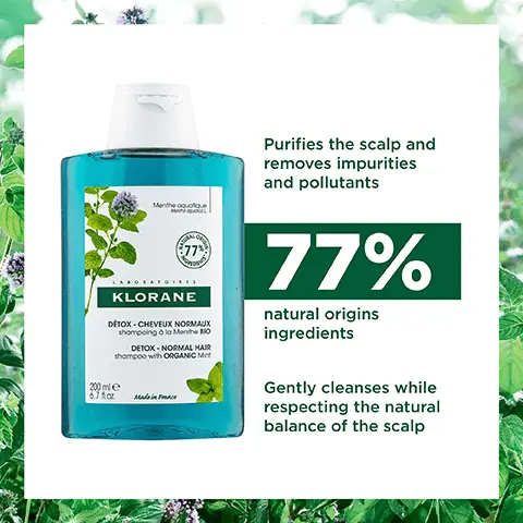 Purifies the scalp and removes impurities and pollutants. 77% natural origins ingredients. Gently cleanses while respecting the natural balance of the scalp. 77% natural origin ingredients. Free from animal origin ingredients. High tolerance formula. 100% recycled and recyclable bottle, excluding the cap, we are working on it. Fresh scent with crushed mint, lemon and tea fragrance. Transparent, light, fresh texture. Biodegradable formula.