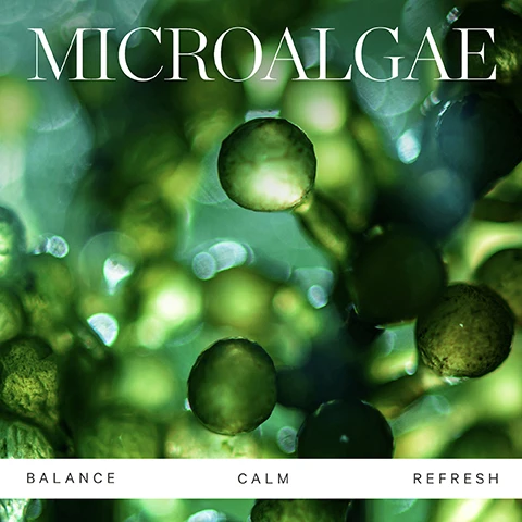 Image 1 - Close-up image of green spheres with bokeh showing the text MICROALGAE BALANCE CALM REFRESH. Image 2 - Illustration shows a glass bottle and a spray pump component separated with text instructions: KEEP YOUR GLOW WITHOUT THE WASTE HOW TO RECYCLE Active Algae Minty Mist Rinse out any remaining or excess product Recycle the glass bottle* Recycle the plastic dip tube separately Recycle the plastic dip tube separately *CONFIRM YOUR LOCAL RECYCLING PROGRAM. Image 3 - An image showing two versions of KORA Organics product packaging the old on the left and the new on the right New Look Same Formula NEW KORA ORGANICS ALL SKIN TYPES TOUS TYPES DE PEAU MINTY MINERAL HYDRATION MIST Brume Minérale Hydratante À La Menthe HYDRATE & REFRESH Hydrater Et Rafraichir 100 mL 3.38 fl oz ACTIVE ALGAE MINTY MIST Brume à la menthe et aux algues actives REFRESH + HYDRATE 100 ml 3.38 fl oz Please note Packaging may vary For a limited time you may receive either of these packages.