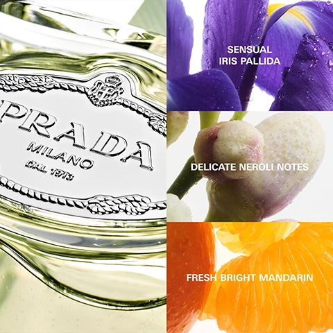 Image 1, sensual iris pallida, delicate neroli notes, fresh bright mandarin. Image 2, les unfusions e prada, infusion d'iris. Image 3, les unfusions de prada, in fusion with you