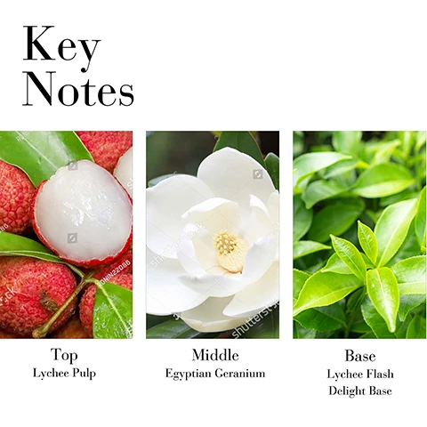 Image 1 - Image showing three panels: the left panel features fresh lychee fruit, the middle panel displays a white Egyptian geranium flower, and the right panel shows green tea leaves, with text indicating Key Notes at the top and Top Lychee Pulp, Middle Egyptian Geranium, and Base Lychee Flash Delight Base below each respective image.
Image 2 - A clear glass vase filled with pink peonies and other flowers is placed on a marble surface beside a round white ball, a pink candle, a box, and a bottle labeled Elizabeth Arden Fruity Citrus Floral.
Image 3 - An image featuring two beauty products with a light pink background; the left product is a jar labeled Elizabeth Arden Green Tea Lychee Lime Honey Drops Body Cream and the right product is a bottle labeled Elizabeth Arden Green Tea Lychee Lime Eau de Toilette, with the text For Delightful Layering at the top, and BRIGHT and REFRESHING labels beside each product.