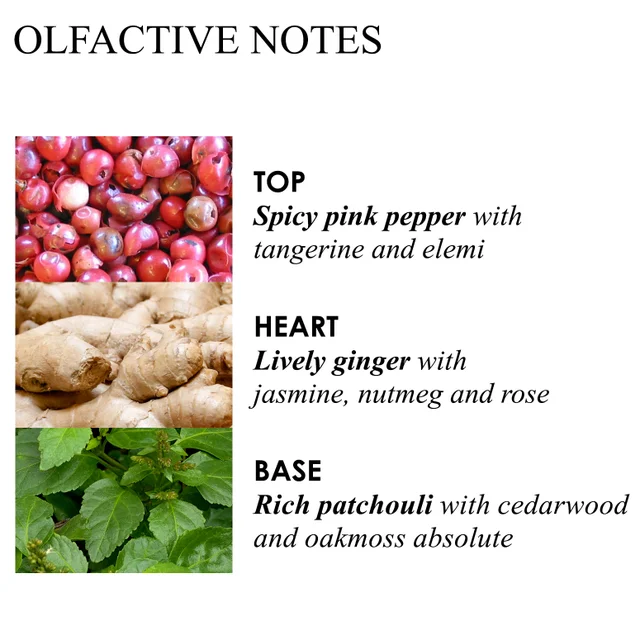 Base, middle and top notes