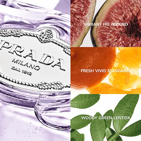 Image 1, VIBRANT FIG ACCORD PRADA MILANO CAL TEAS FRESH VIVID MANDARIN WOODY GREEN LENTISK Image 2, LES INFUSIONS DE PRADA PRADA LILANO INFUSION DE FIGUE Image 3, LES INFUSIONS DE PRADA IN FUSION WITH YOU