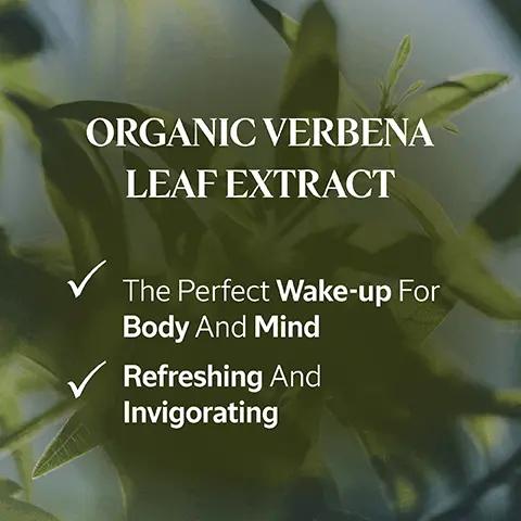 ORGANIC VERBENA LEAF EXTRACT The Perfect Wake-up For Body And Mind, Refreshing And Invigorating. Discover Our Verbena Collection. Made with hand-picked Verbena that is 100% Organic & Sustainable. Our relationship with L'OCCITANE is more than a business venture, it's a human adventure and one that is incredibly important to us, Philippe & Magalie, Verbena Producers. An Uplifting Fresh Shower Gel That Gently Lathers On Contact With Water.