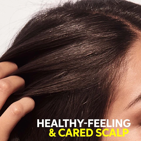 image 1, healthy feeling and cared scalp. image 2, new 300ml bottle, same great formula. image 3, healthy feeling and cared scalp. image 4, fragrance free, soothing, gentle to skin. image 5, refreshing formulas. leave hair and scalp cared and refreshed.