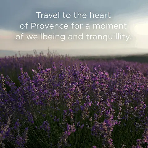 Travel to the heart of Provence for a moment of wellbeing and tranquility. INFUSED WITH PROVENCE LAVENDER TO RELAX BODY AND MIND. 100% RECYCLABLE PACKAGING, REDUCING WASTE, METAL recycles forever.