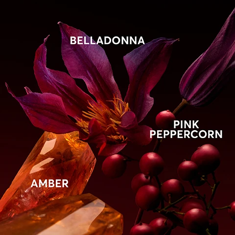 Image 1, belladonna, amber and pink peppercorn. image 2, boss the scent the new elixirs. image 3, boss the scent. eau de parum - scent mood = sensual and captivating. scent family = ambery floral. scent notes = peach, freesia, osmanthus flower and cocoa. intensity level = 1 out of 4. magnetic eau de parfum - scent mood = attractive and exhilarating. scent family = ambery musky. scent notes = osmanthus flower, white musk and amber. intensity level = 2 out of 4. le parfum - scent mood = intense and addictive. scent family = intense and addictive. scent notes = orange blossom, vetiver, patchoulo. intensity level = 3 out of 4. elixir - scent mood = inflamed and hypnotic. scent family = ambery woody floral. scent notes = pink peppercorn, atropa belladonna flower and amber. intensity level = 4 out of 4