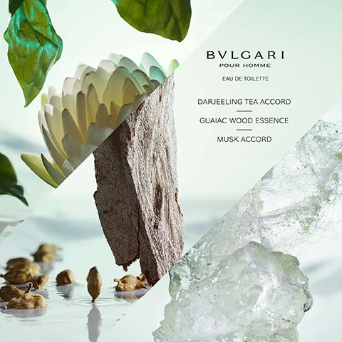 Image 1, pour homme eau de toilette. darjeeling tea accord, guaiac wood essence, musk accord. image 2, eau de parfum - harmonious and refined. eau de toilette comforting and refreshing.
