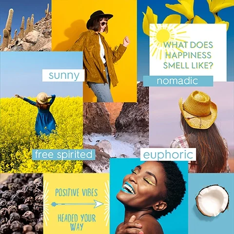 sunny, nomadic, free spirit, euphoric