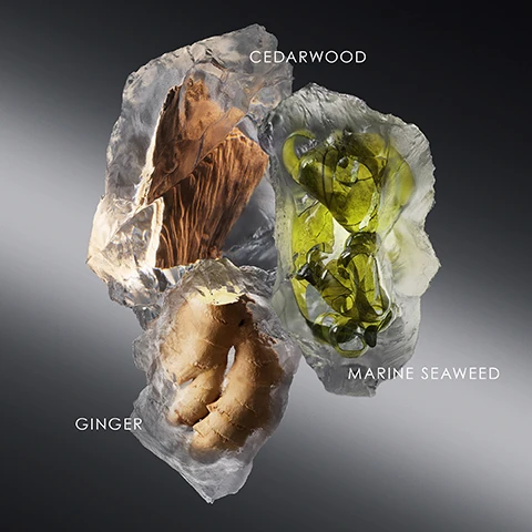 image 1, cedarwood, ginger and marine seaweed. image 2, natural origin marine seaweed and oakmoss. image 3, issey miyake's commitments. 95% natural origin ingredients. refillable bottle. vegan certified. image 3, the refillable fragrance for men. refillable bottle.