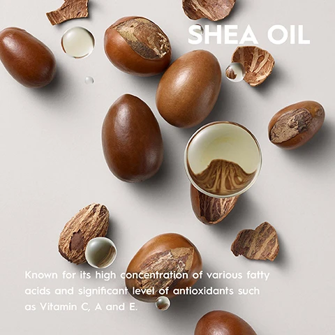 Image 1 - Various brown shea nuts and pieces of shea bark are scattered on a light gray background, with a round droplet of shea oil and the text SHEA OIL, followed by a description of its benefits.
Image 2 - A product label for KERASILK STYLING FLAT IRON SPRAY displays benefits including heat-activated straightening support, heat protection up to 230°C, and long-lasting styles, with text listing features such as up to 3.7 times less frizz and 95% less hair breakage.
Image 3 - Image of three Kerasilk hair care products displayed in a row: a purple jar labeled Finishing Cream with text saying Refined, Iridescent, Incredible; a light blue jar labeled Smoothing Mask with text saying Soft, Nourished, Luxurious; and a blue bottle labeled Taming Balm with text saying Smooth, Soft, Amazing, with the title above reading Find Your Kerasilk Hair Action Plan.
Image 4 - An infographic on a light purple background with the heading CLIMATE CONSCIOUS INSIDE OUT and icons, including a climate neutral certification logo, with text stating CLIMATE NEUTRAL PRODUCT: Product is CO2 compensated, a vegan formula icon with VEGAN FORMULA: No animal-derived ingredients, and a chemistry flask icon with FREE FROM: sulfates, dyes, microplastics, mineral oils.