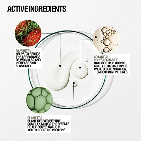 Image 1 - The image displays a petri dish with a white liquid, surrounded by three circles depicting ingredients: a red rambutan fruit, a golden liquid with bubbles representing botanical polysaccharide, and a green cellular structure representing plant-EGF, with text labels. ACTIVE INGREDIENTS. RAMBUTAN HELPS TO REDUCE THE APPEARANCE OF WRINKLES AND INCREASE SKIN ELASTICITY. BOTANICAL POLYSACCHARIDE NATURES HYALURONIC ACID. ATTRACTS + BINDS WATER FOR HYDRATION + SMOOTHING FINE LINES. PLANT-EGF PLANT DERIVED PEPTIDE COMPLEX MIMICS THE EFFECTS OF THE BODYS NATURAL YOUTH-BOOSTING PROTEINS. Image 2 - A smiling woman with radiant skin winks while applying a white cream from a dark bottle to her temple, alongside text that reads 90% AGREED IMPROVES HYDRATION, 89% AGREED IMPROVES SUPPLENESS, 81% AGREED IMPROVES SKIN FIRMNESS, and *Independent User Trail 2022. Results based on 101 over 4 weeks.