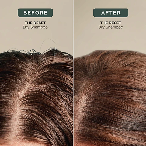 Image 3 - A before and after image showing the roots of brown hair, with the left side displaying oily, slightly clumpy hair and the right side showing clean, voluminous hair, with the visible text BEFORE THE RESET Dry Shampoo on the left and AFTER THE RESET Dry Shampoo on the right. Image 4 - A dark green dry shampoo can with intricate lighter green patterns on its label stands upright on a green surface, next to text providing instructions and tips for use, reading: HOW TO USE: Shake well before use. Holding 10cm away, section hair and spray directly into roots. Let sit for 30 seconds then remove by massaging with fingertips or brushing through hair. TOP TIPS: For a lighter refresh, spray onto a brush and pass through hair. Apply before bed to soak up excess oil and sweat. Brush through in morning. The can label also reads: THE RESET LIMITED EDITION DRY SHAMPOO SHAMPOOING SEC BY ADAM REED NET WT. 200mL e 4.0 OZ (116g). Image 5 - A dark green dry shampoo bottle with botanical patterns, labeled THE RESET LIMITED EDITION DRY SHAMPOO SHAMPOOING SEC BY ADAM REED NET WT. 200ml e 4.0 OZ (116g), is displayed on stacked wooden slices with dried twigs, a bergamot fruit, and ginger root against a green background, alongside text stating: Modified starch absorbs excess oil & sweat and Baobab Oil softens hair & scalp, plus a white outlined smiley face. Image 6 - An arrangement of natural ingredients including ginger root, a bergamot fruit, dried roots, and wood pieces is shown alongside text that reads SMELLS LIKE: DECORATED WOODS A fragrance that captures the changing seasons of a lush English woodland. HEAD NOTES GINGER BERGAMOT HEART NOTES SANDALWOOD PALO SANTO GROUND NOTES VETIVER INCENSE. Image 7 - A hand sprays a dark green dry shampoo can, labeled THE RESET LIMITED EDITION DRY SHAMPOO SHAMPOOING SEC BY ADAM NET WT. 200mL e 4.0 OZ (116g), on a dark green surface with ginger roots, a kaffir lime, wood pieces, and resin scattered around, alongside icons and text indicating VEGAN, Certified B Corporation, MADE WITH RECYCLED CONTENT, Cruelty Free International, AWARD WINNING, and a list at the bottom stating MADE WITHOUT: AMMONIA, LACTOSE, LATEX, MINERAL OIL, SILICONE, SULPHATE, GLUTEN, TALC, PARABENS.