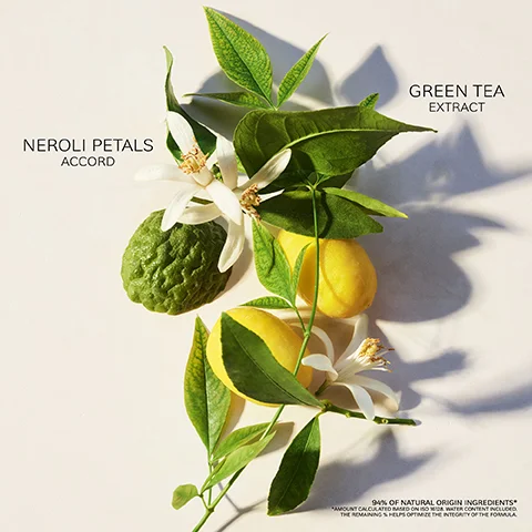 Image 1 - A flat lay arrangement of green tea leaves, yellow lemons, and a green citrus fruit surrounded by white neroli petals, with the text GREEN TEA EXTRACT and NEROLI PETALS ACCORD displayed to the right, and the note 94% OF NATURAL ORIGIN INGREDIENTS near the bottom.