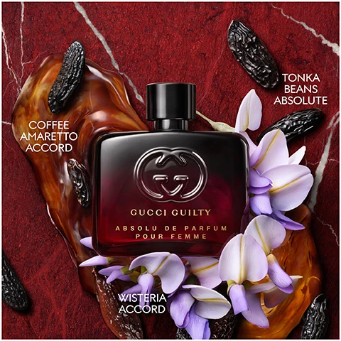 Image 1 - A dark red and black Gucci Guilty Absolu De Parfum Pour Femme bottle is centered on a textured red background with white veins, surrounded by light purple wisteria flowers, dark wrinkled tonka beans, and a glossy brown liquid, with visible text reading Gucci Guilty Absolu De Parfum Pour Femme, Tonka Beans Absolute, Coffee Amaretto Accord, and Wisteria Accord. Image 2 - A line of five Gucci Guilty perfume bottles on a marble surface, ranging from light gold to deep red, decorated with orange slices, purple and yellow flowers, and dark seed pods, display labels Gucci Guilty Eau de Toilette Pour Femme, Gucci Guilty Pour Femme, Gucci Guilty Intense Pour Femme, Gucci Guilty Elixir de Parfum Pour Femme, and Gucci Guilty Absolu de Parfum Pour Femme, with corresponding text labels below them for intensity comparison: Eau de Toilette, Eau de Parfum, Parfum, Elixir de Parfum, Absolu de Parfum, and the heading Intensity.