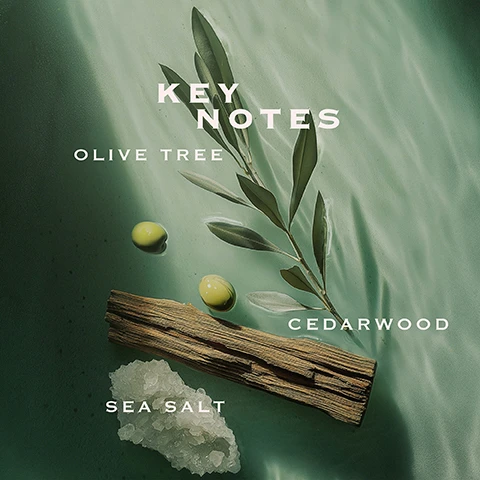 Image 1 - A flat lay image on a rippling green surface displays an olive branch with two olives, a piece of cedarwood, and a cluster of sea salt crystals, with text that reads Key Notes, Olive Tree, Cedarwood, Sea Salt. Image 2 - Five faceted perfume bottles with gold caps are displayed in a row, each above descriptive text and an image panel of ingredients, reading from left to right: Örabella, WINDOW2SOUL SHEER FLORAL Jasmine Rose Tonka Bean, BLOOMING FIRE WARM FLORAL Monoi Bergamot Patchouli, ETERNAL ROOTS WOODY FRUITY Lychee Papyrus Vetver, SALTED MUSE WOODY MARINE Sea Salt Olive Tree Cedarwood, NIGHTCAP WARM & SPICY GOURMAND Vanilla Ginger Sandalwood.