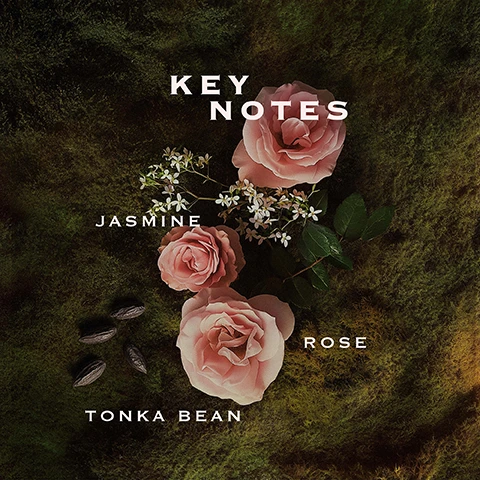 Image 1 - A dark green mossy background displays three pink roses, white jasmine flowers, and five tonka beans, with the text Key Notes, Jasmine, Rose, and Tonka Bean. Image 2 - Five Örabella perfume bottles with gold tops and faceted glass bodies in pink, orange, rose, green, and brown are displayed above five panels showing their ingredients; text reads Örabella WINDOW2SOUL SHEER FLORAL Jasmine Rose Tonka Bean BLOOMING FIRE WARM FLORAL Monoi Bergamot Patchouli ETERNAL ROOTS WOODY FRUITY Lychee Papyrus Vetiver SALTED MUSE WOODY MARINE Sea Salt Olive Tree Cedarwood NIGHTCAP WARM & SPICY GOURMAND Vanilla Ginger Sandalwood.