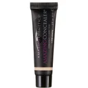 A Little Amazing Concealer -Fair (6ml)