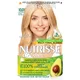 Garnier Nutrisse Permanent Hair Dye - 1 Black