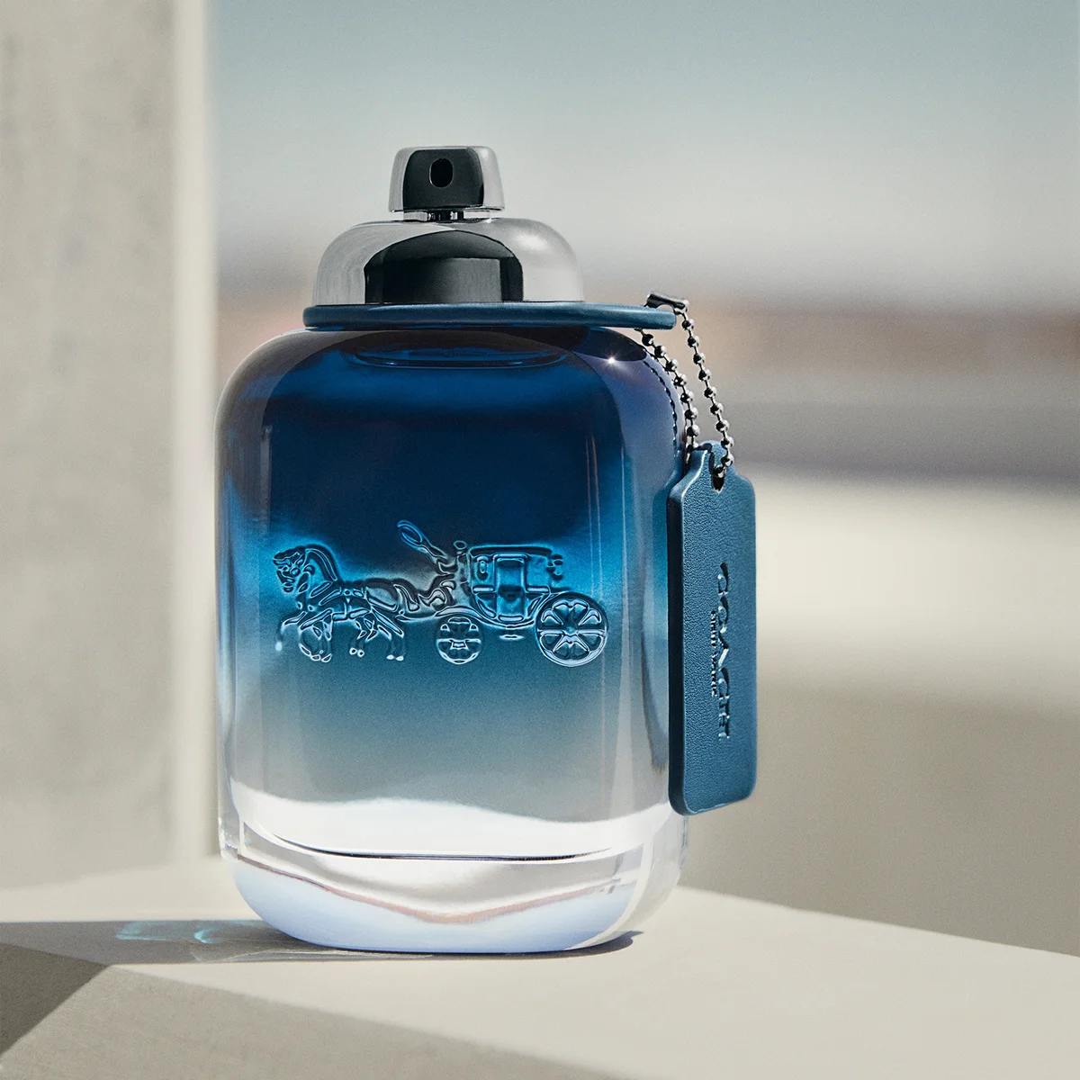 Coach Men's Blue Eau de Toilette 40ml LOOKFANTASTIC
