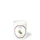 Carrière Frères Scented Candle Cedar - Cedrus Atlantica - 185 g