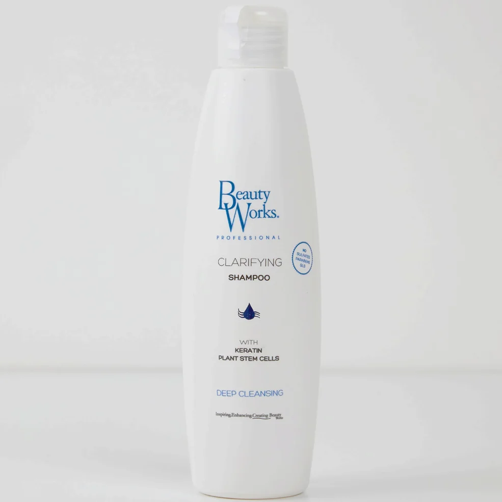 Beauty Works Clarifying Shampoo 250ml Image 1