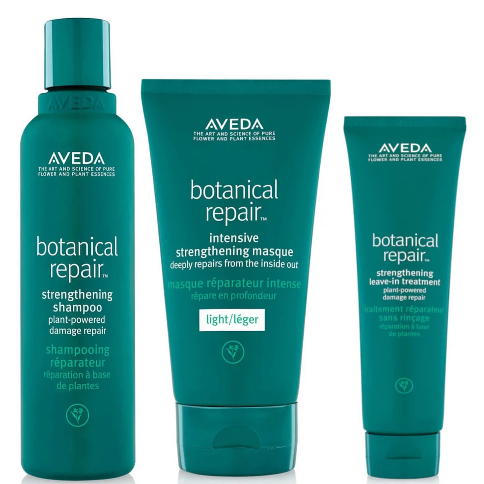 Aveda Botanical Repair Routine Image 1