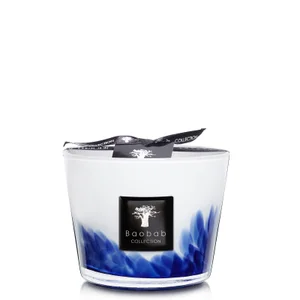 Baobab Collection Max 10 Feathers Touareg - Size Max 10