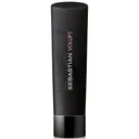 Sebastian Professional Volupt Shampoo 250ml