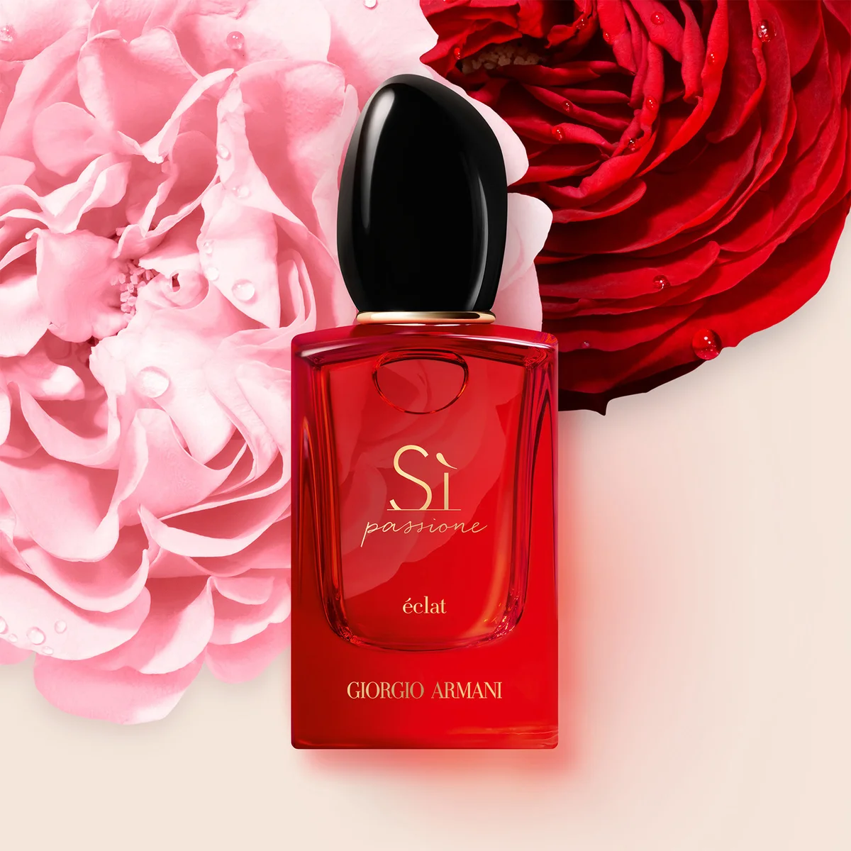 Passione Eau Si Armani Rot Armani Si Passione Eclat Eau De Parfum
