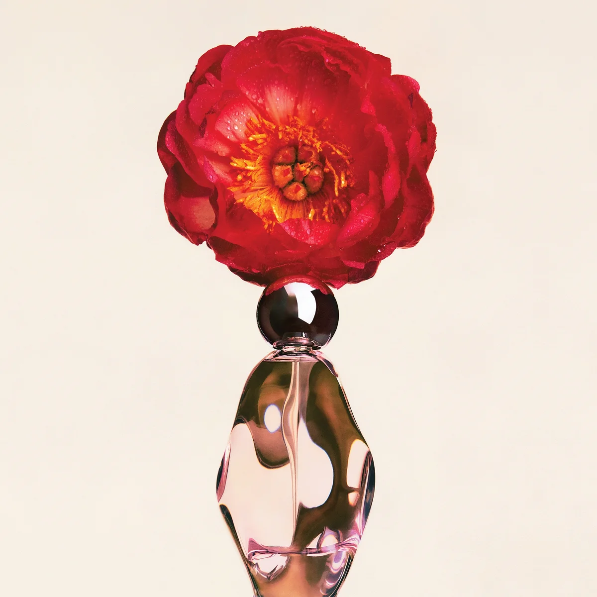 Cosmic by Kylie Jenner Eau de Parfum Pen Spray 10ml LOOKFANTASTIC