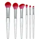 Spectrum Brush Club 6 Piece Brush Set