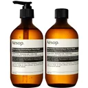 Resurrection Hand Wash & Refill Duo