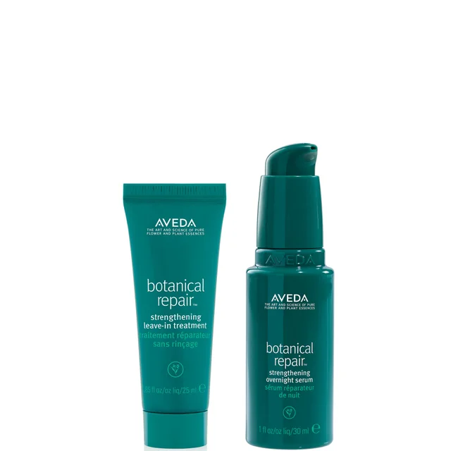 Aveda Day & Night Damage Repair Trial Kit