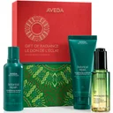 Aveda Gift of Radiance