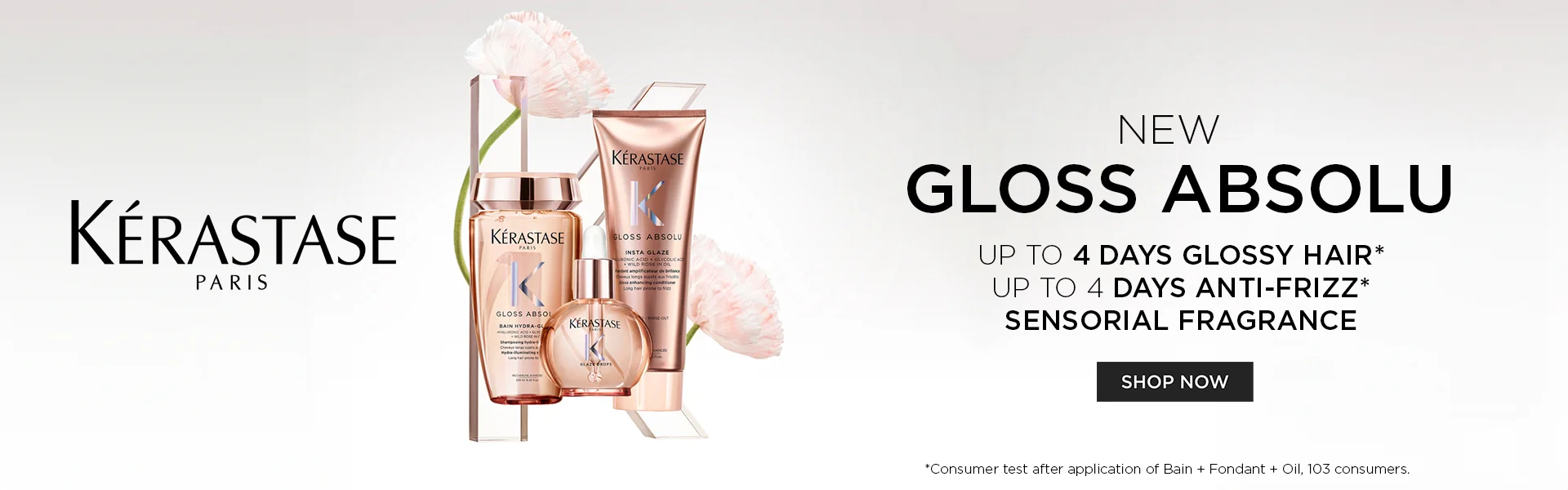 Kerastase Gloss Absolu Range