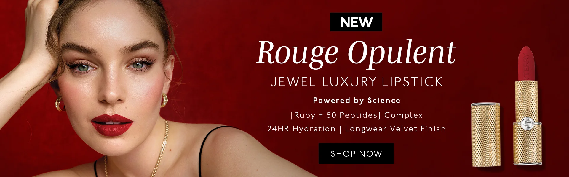 by terry hero banner